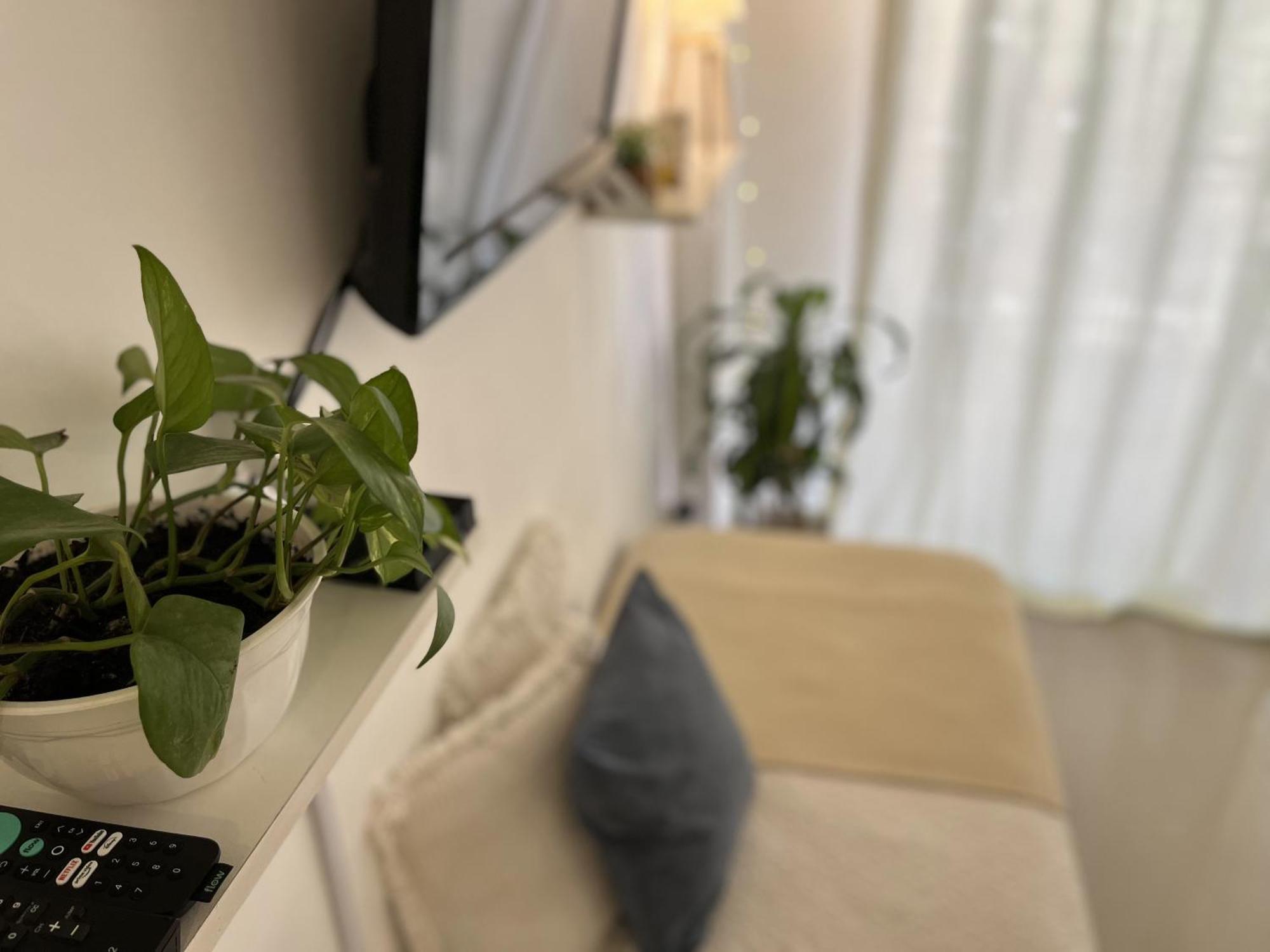 Palermo Hollywood Ba Suites Buenos Aires Dış mekan fotoğraf